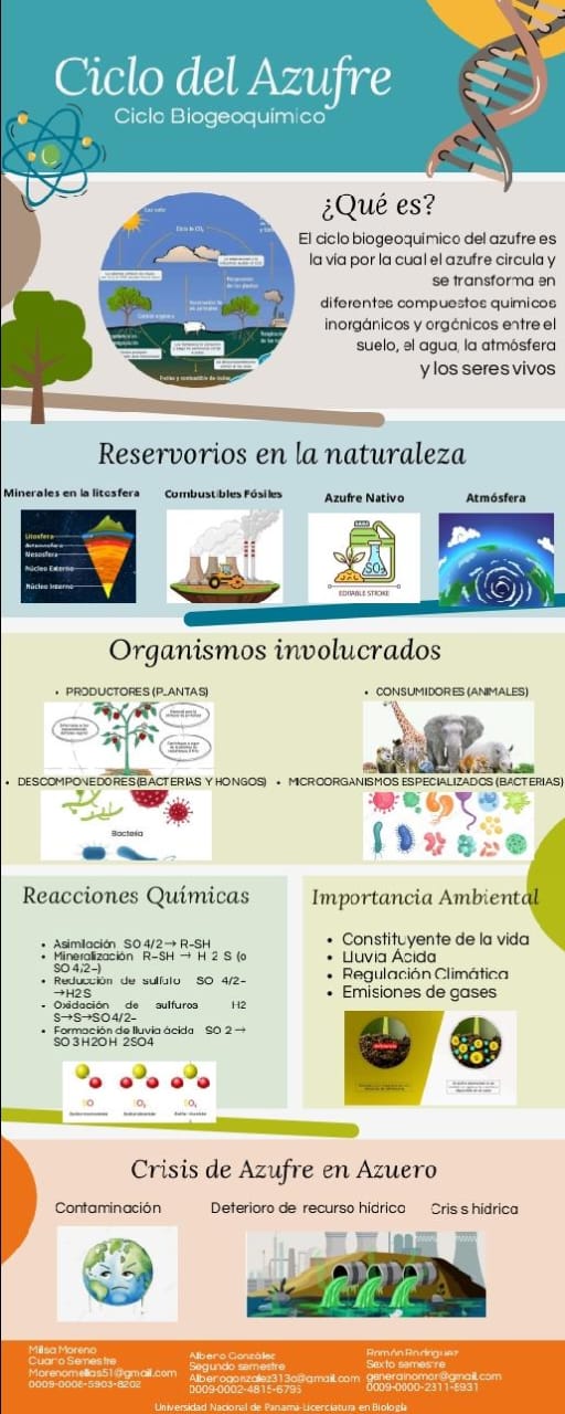 Imagen del cartel