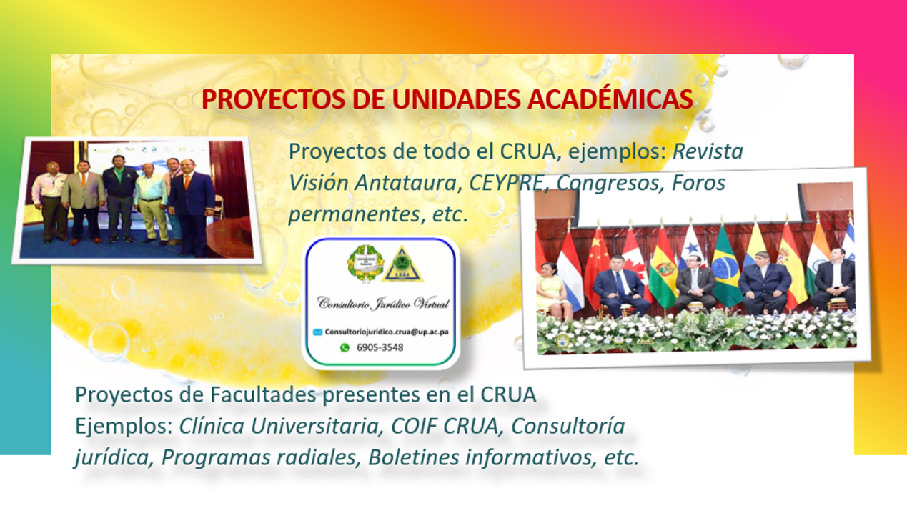 PROYECTOS INSTITUCIONALES