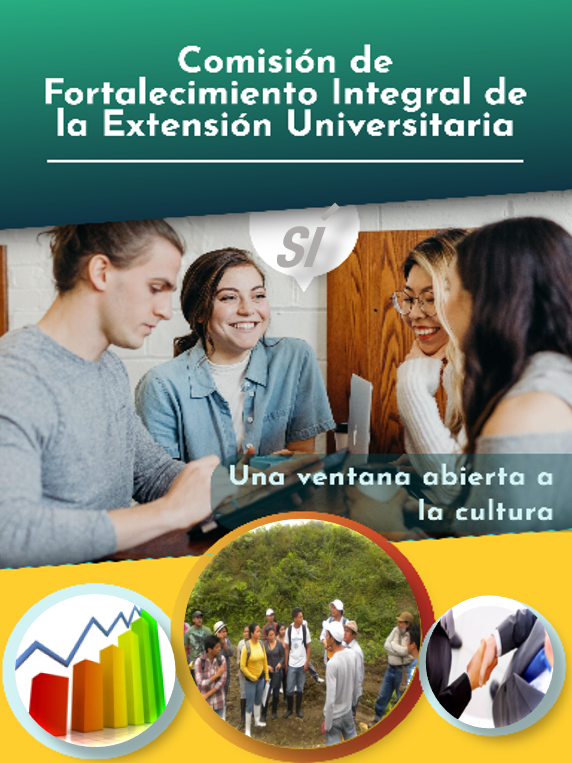 Proyecto de Extensión Institucional